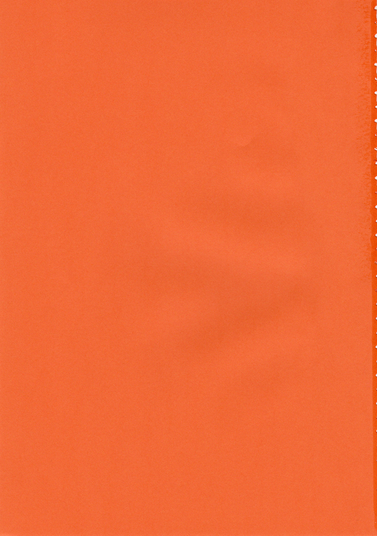 Fushigi Na Negima! page 2 full