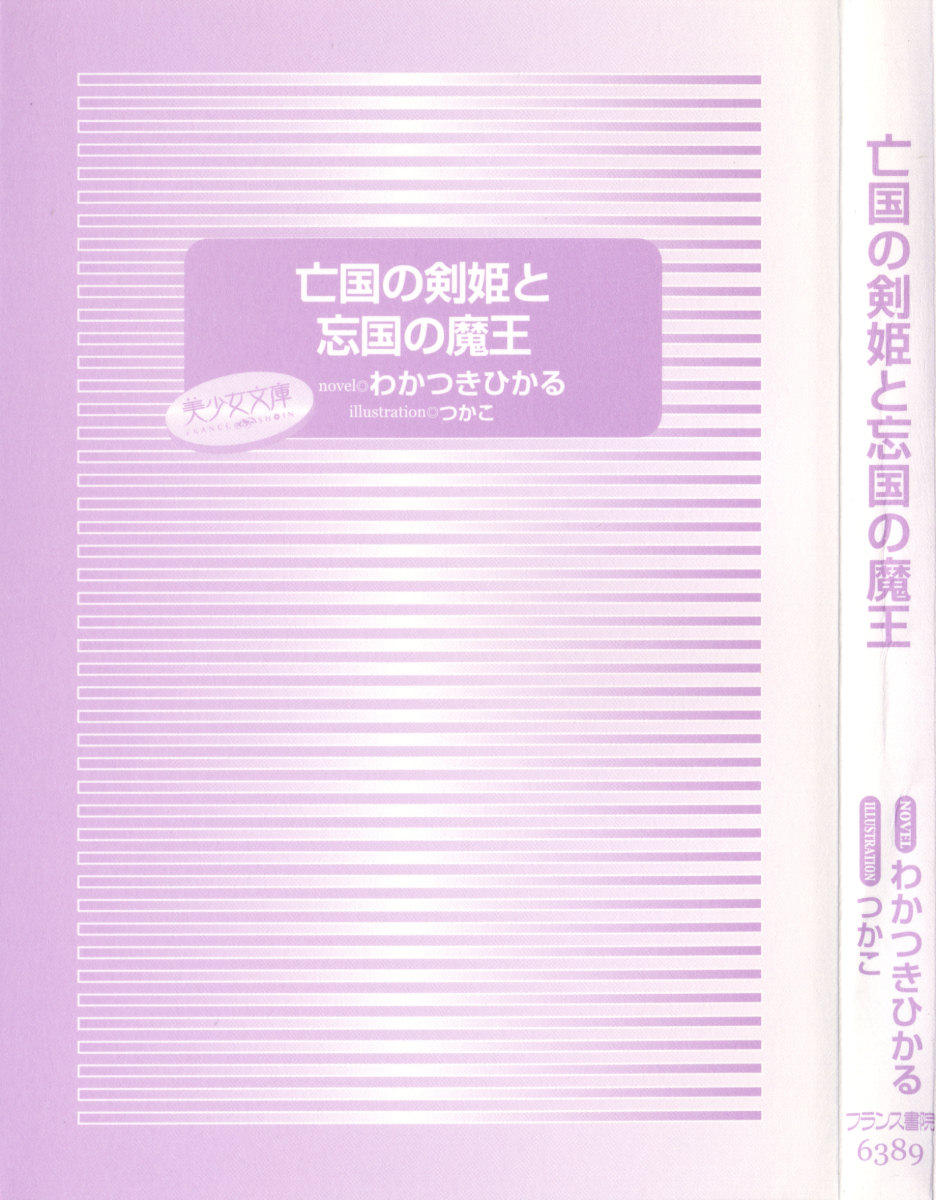 Boukoku no Kenki to Boukoku no Maou page 9 full