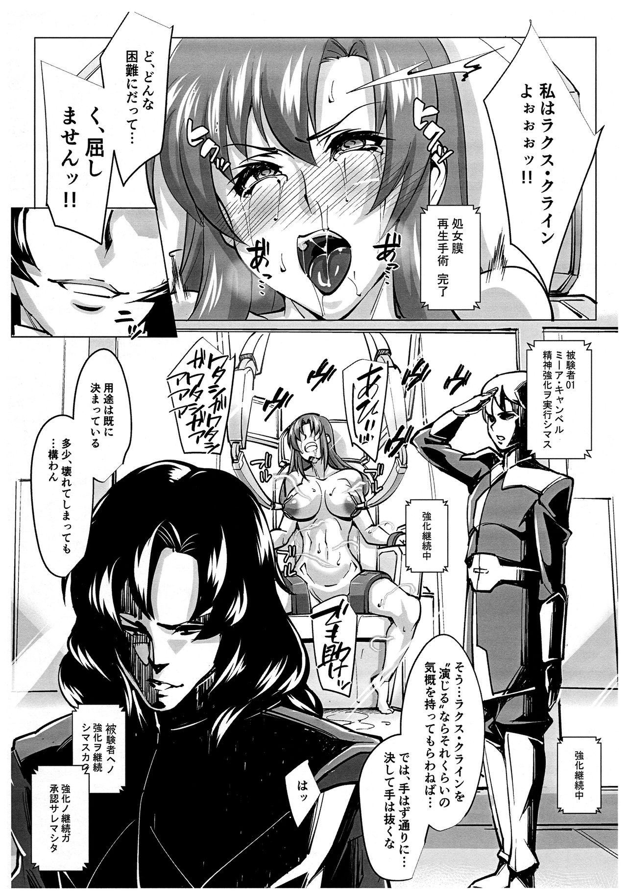 Lacus Clyne  Kaizou Keikaku -Daiichiji Chuukan Houkoku- page 10 full