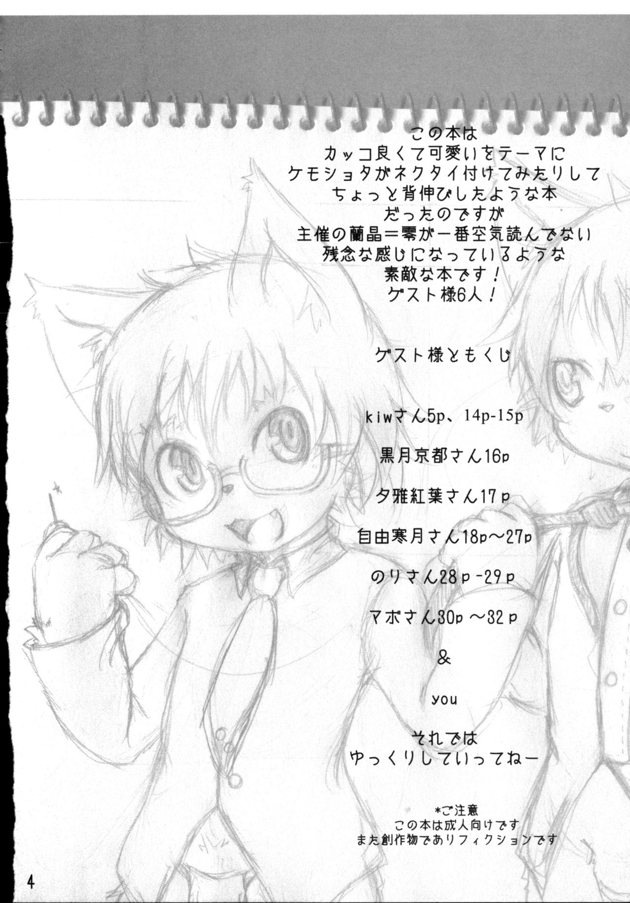 Dima&Arze2010 page 3 full