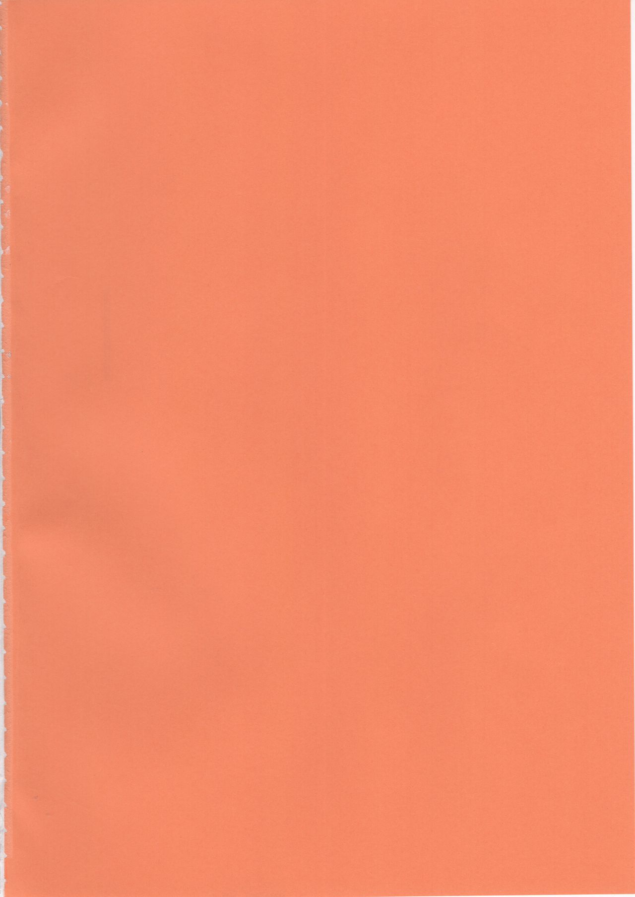 Illy Asobi Cafe page 2 full