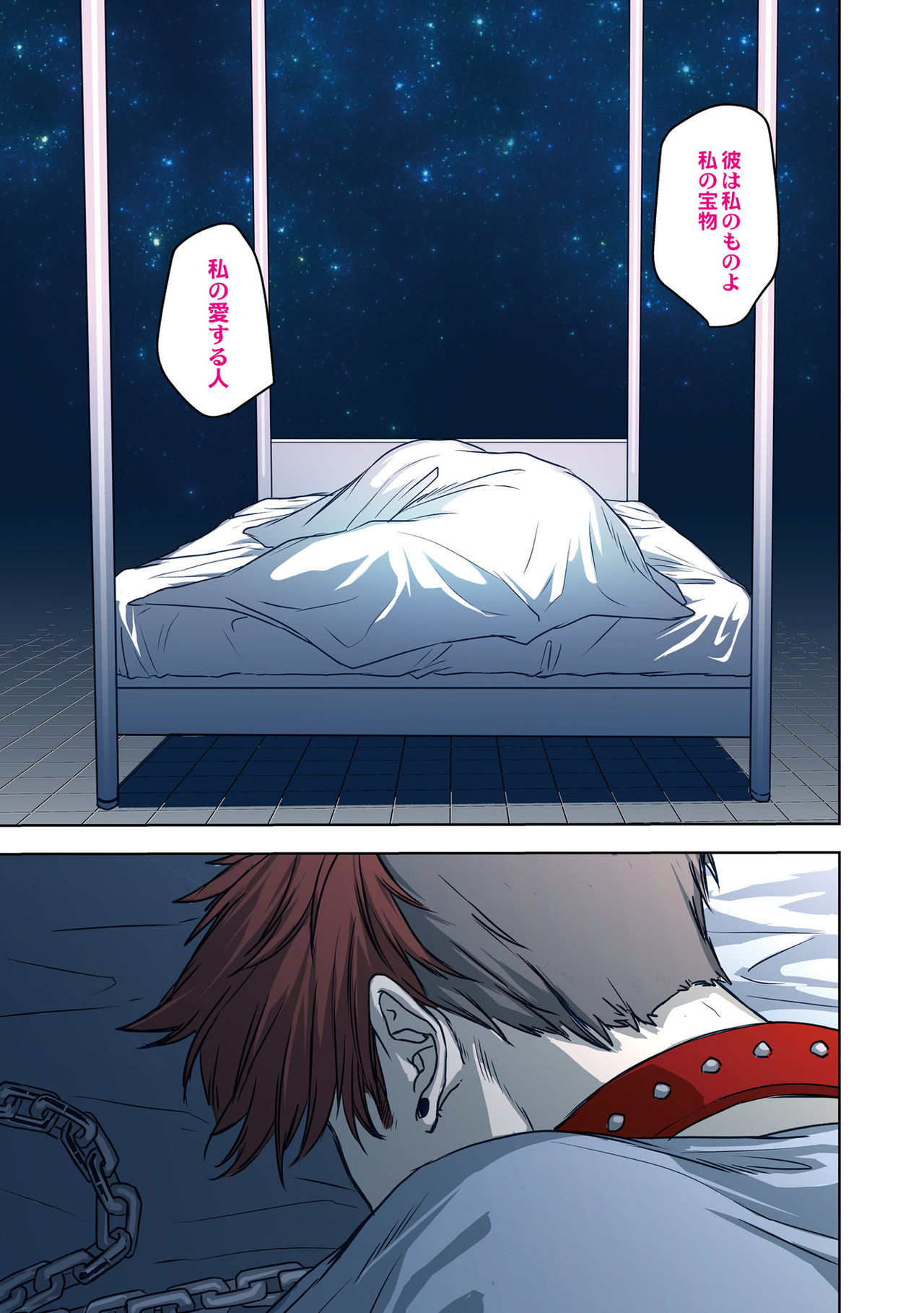 Nibiiro Planetarium page 5 full