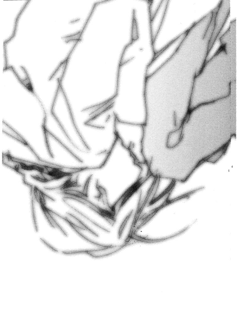 Love Me Tender page 6 full