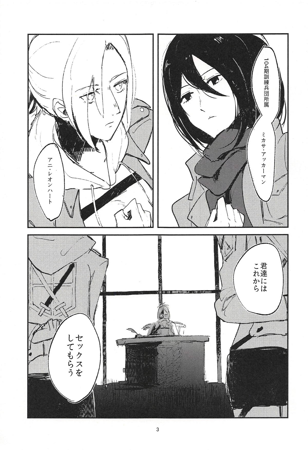 Guinea Pig page 2 full