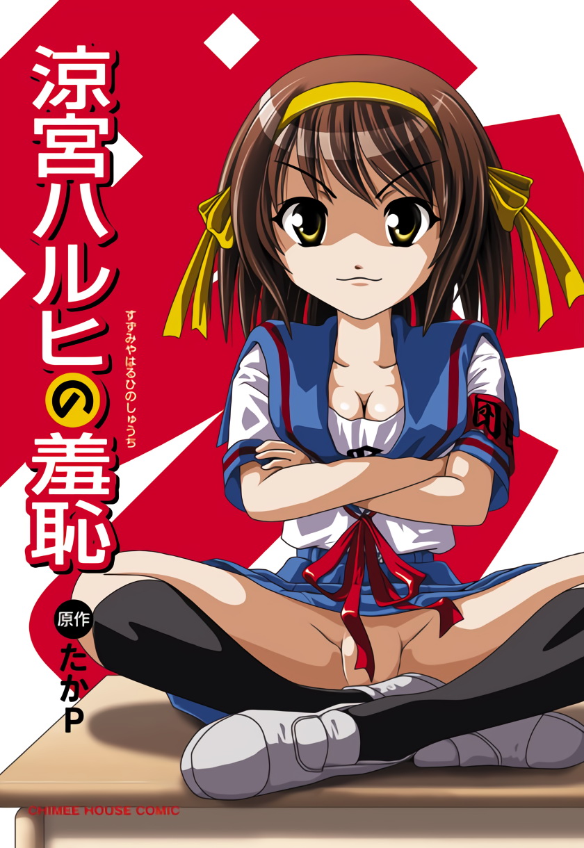 Suzumiya Haruhi no Shuuchi page 2 full