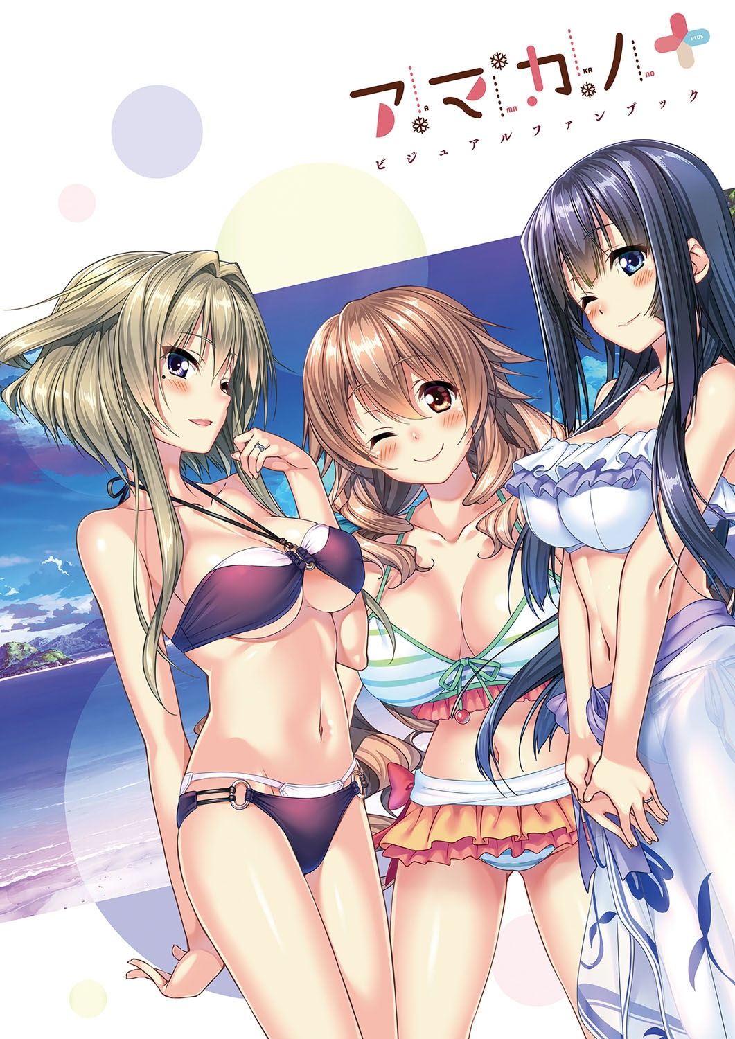 Amakano＋ Visual Fan Book page 4 full