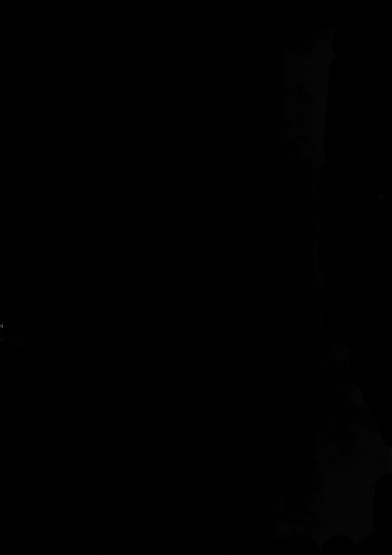 Gainen Reisou wa Kiniro no Yume o Miru 3 page 3 full