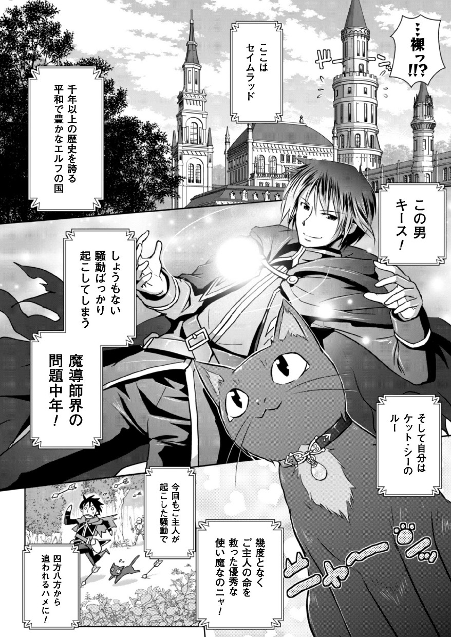 Elf no Kuni no Kyuutei Madoushi ni Nareta no de Hime-sama ni Seiteki na Itazura o Shite Mita THE COMIC page 6 full