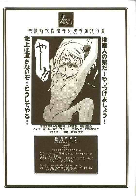 Ruridou Soushi ~Nankyoku Jouyaku tte Nani?~ page 7 full