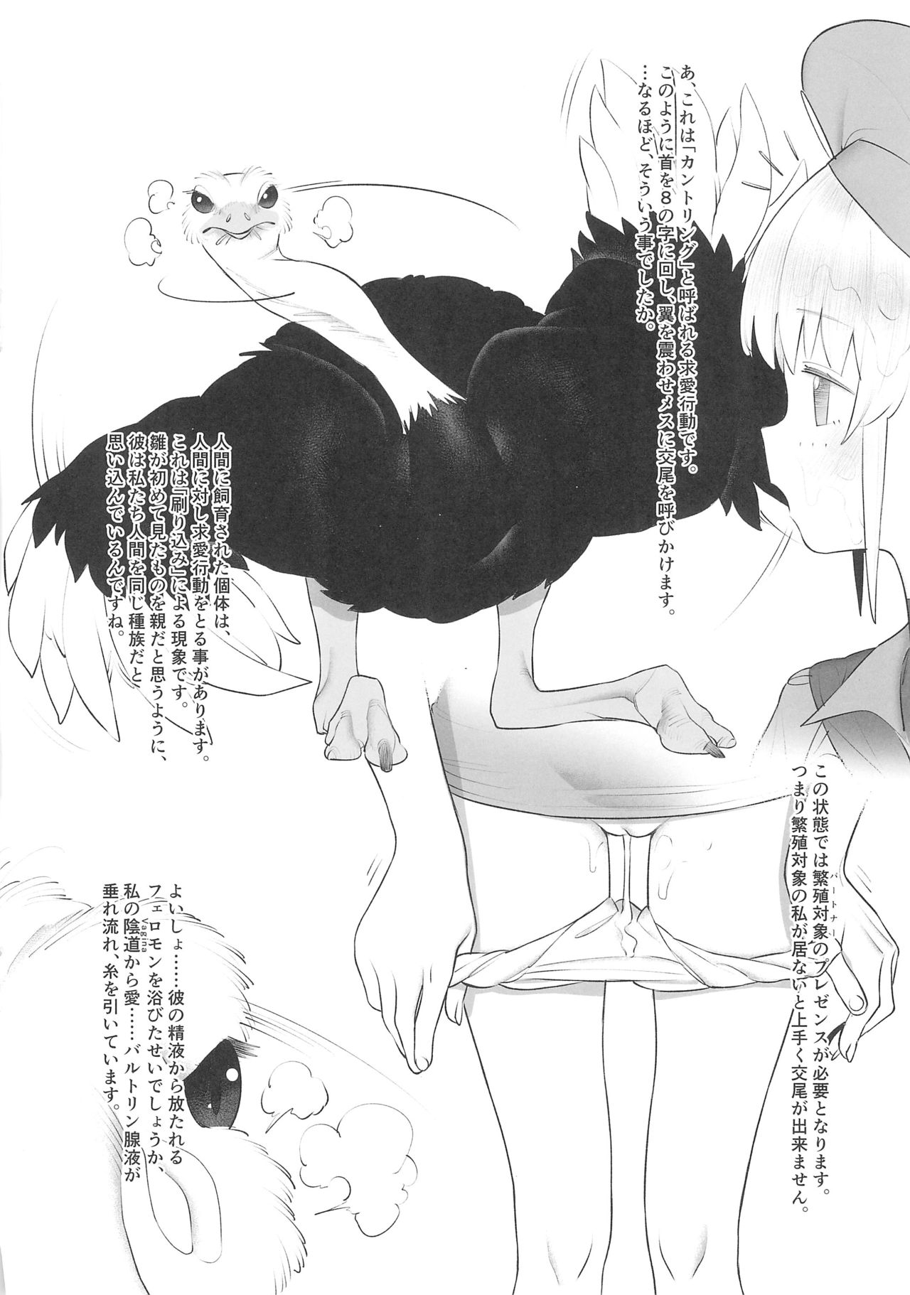 Tori no Kimochi Ii page 8 full