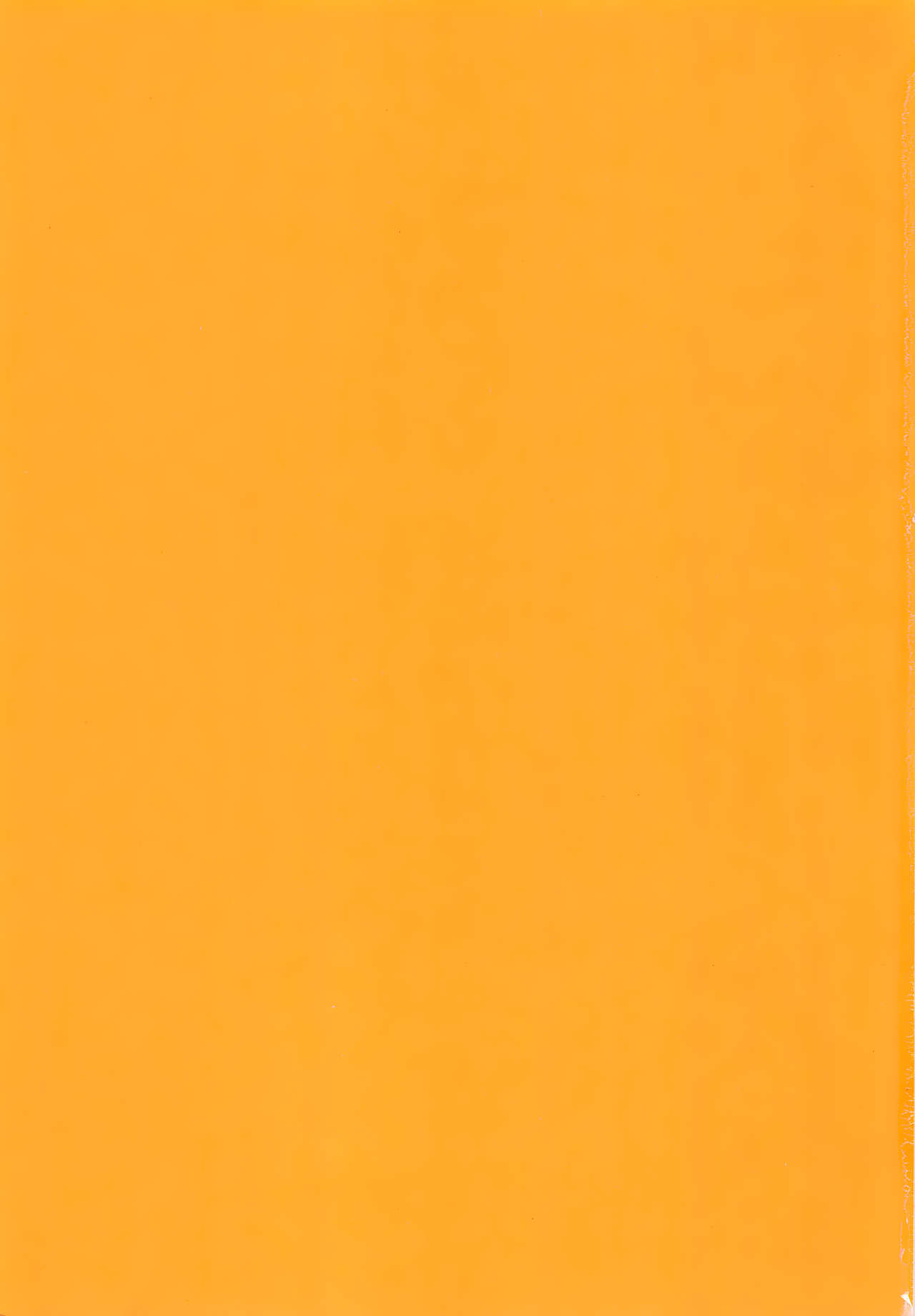 Len Plus page 2 full