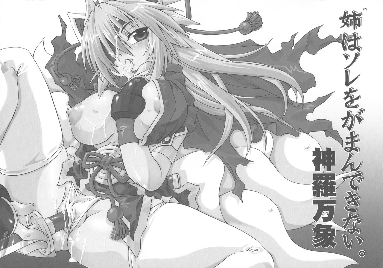 Ane wa Sore o Gaman Dekinai. page 2 full