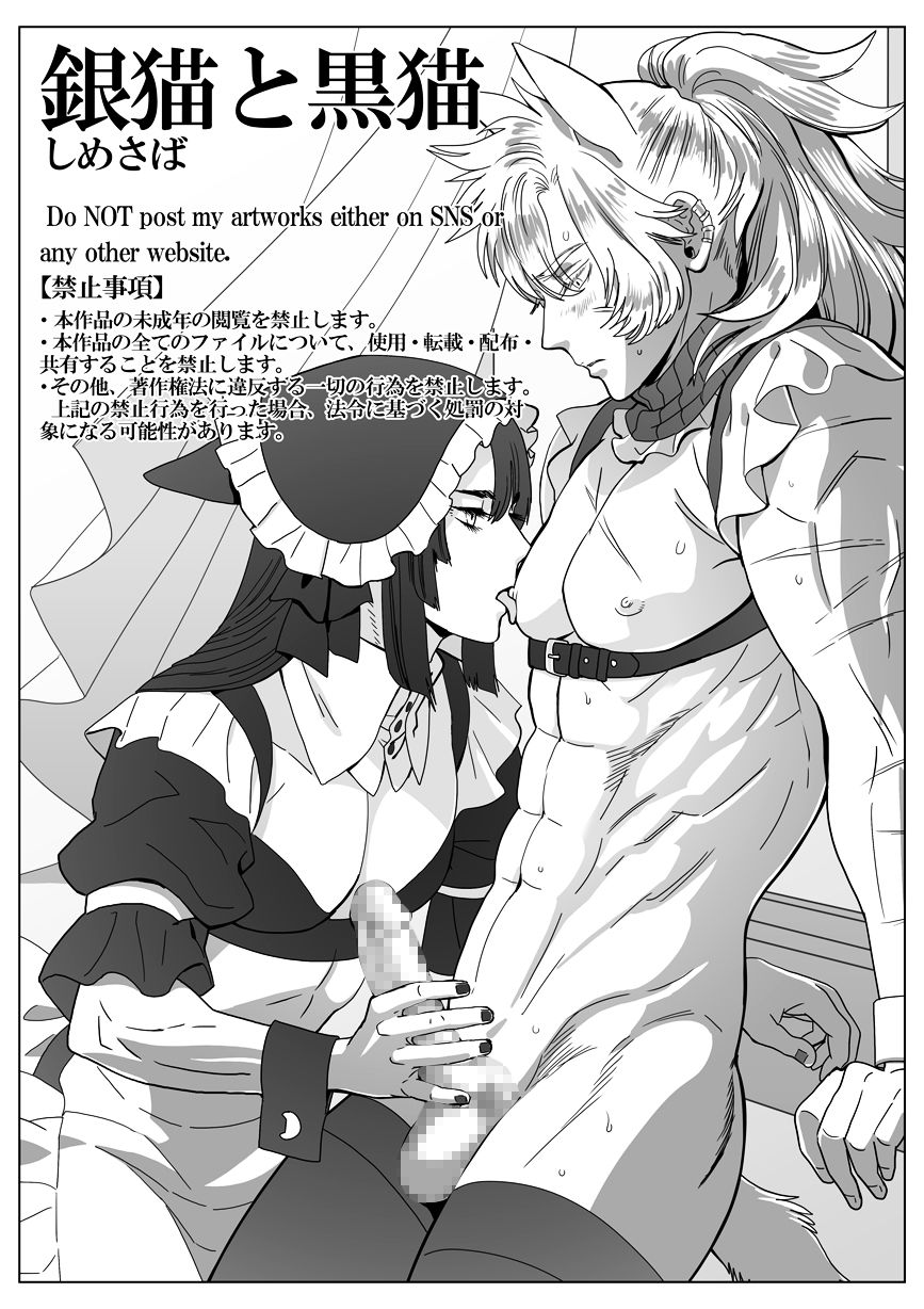 Gin Neko to Kuro Neko page 1 full