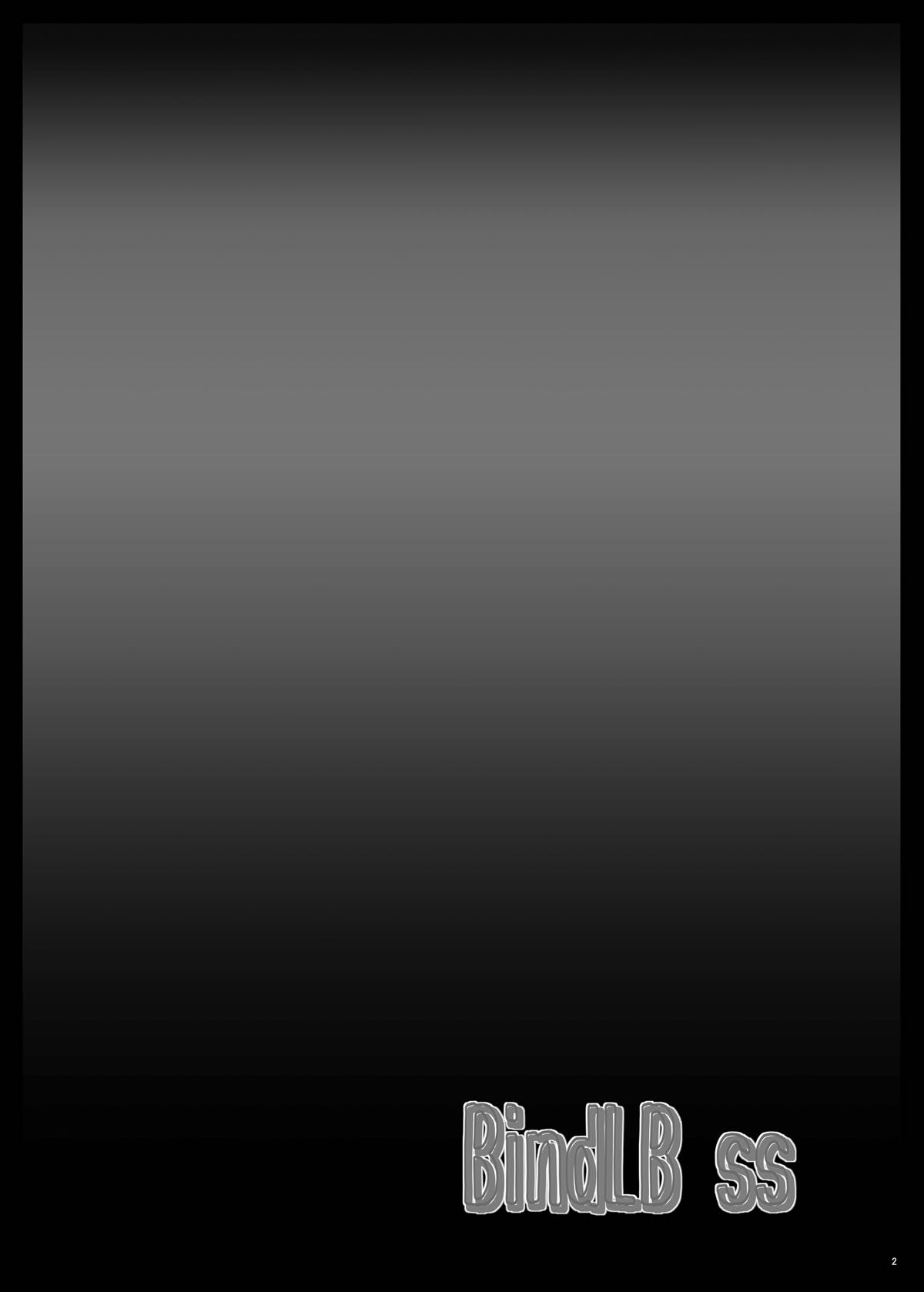 BindLB ss page 3 full