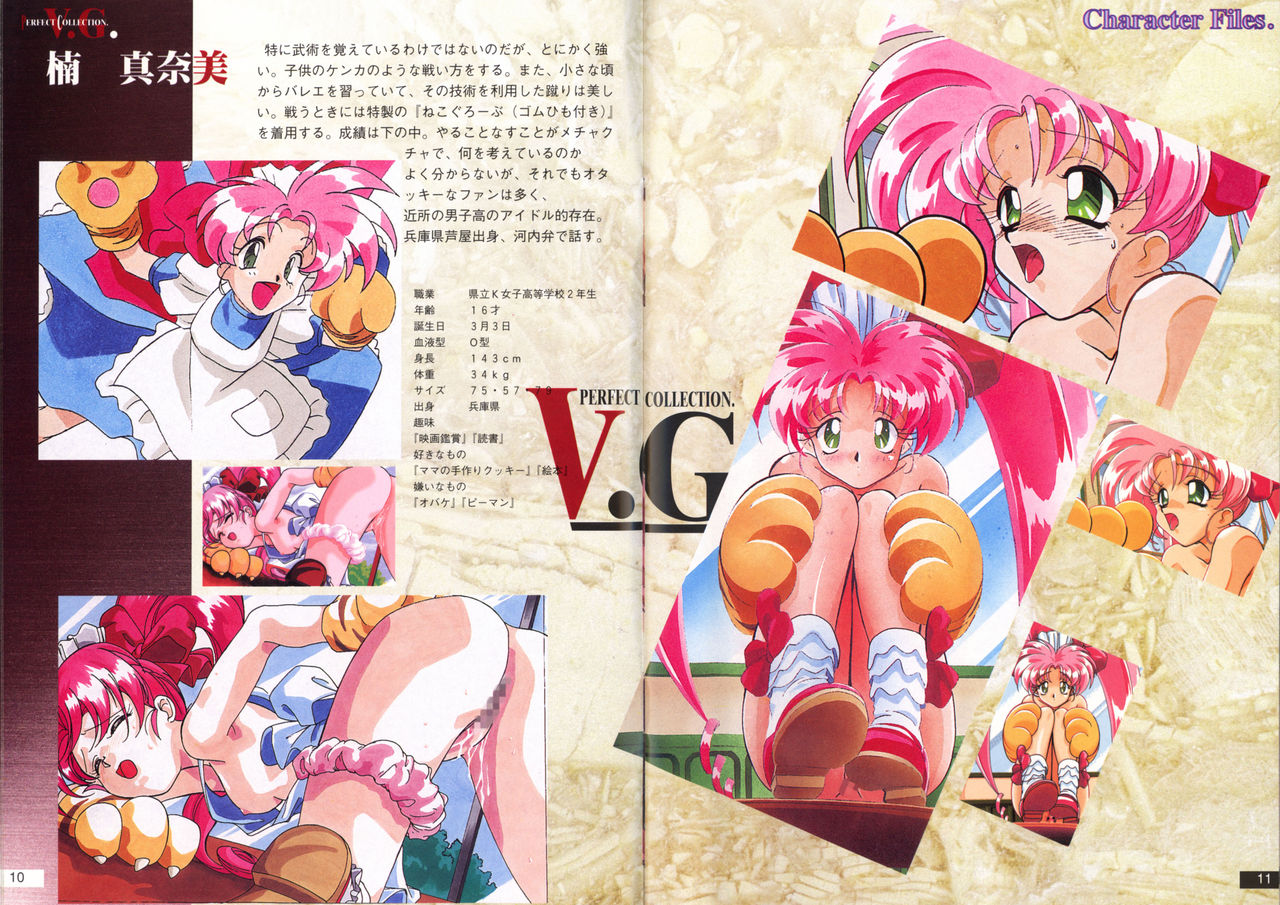V.G.Perfect Collection Illustrations page 6 full