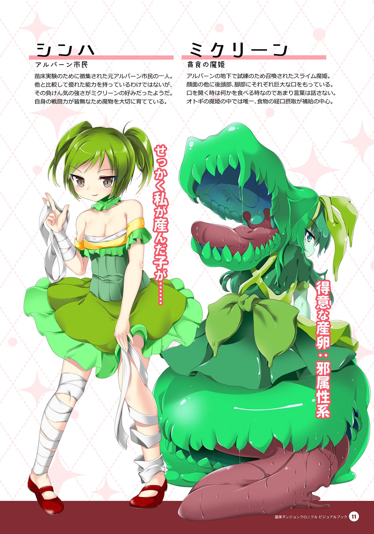 Naedoko Dungeon Chronicle Official Design Works page 10 full