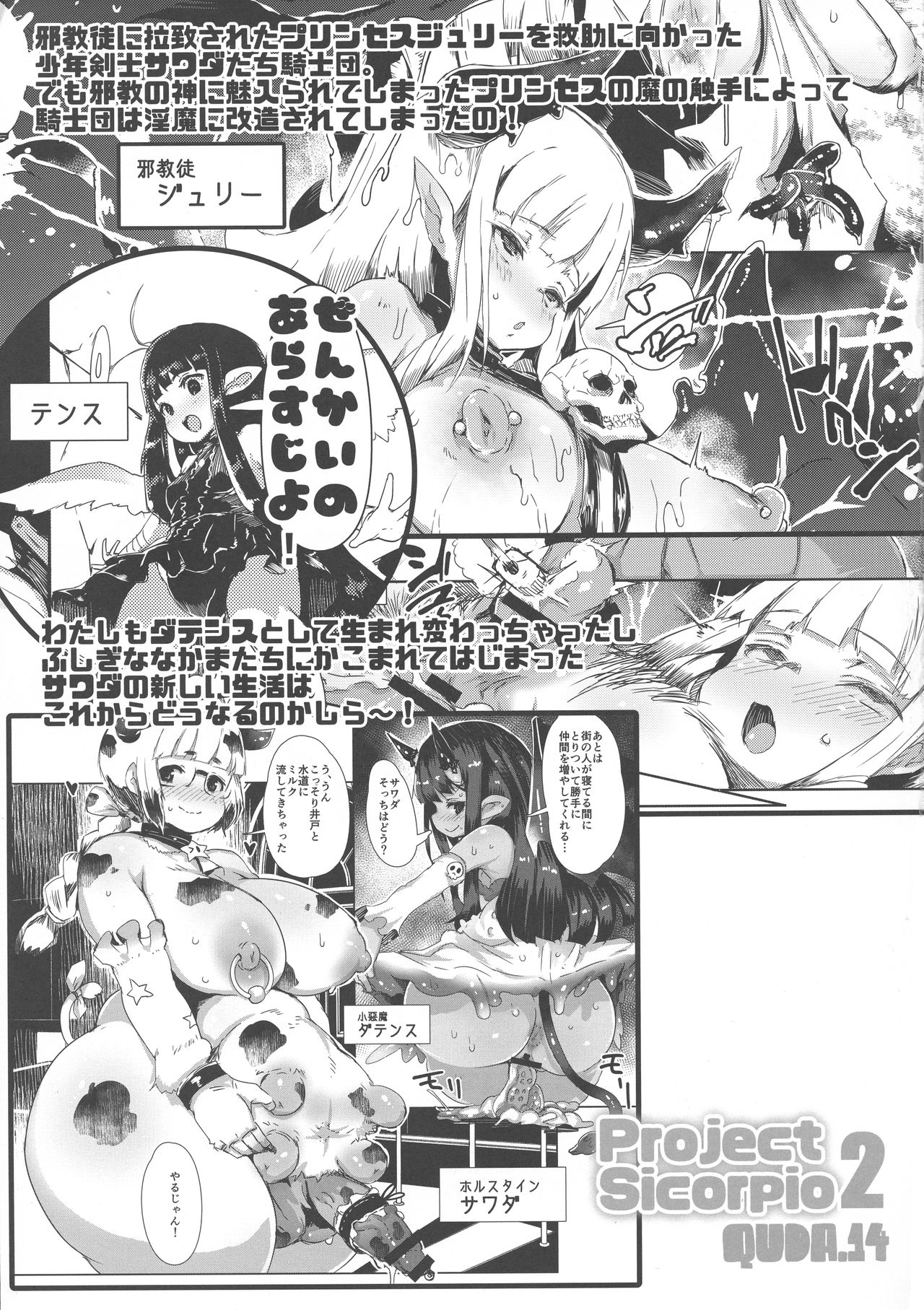 QUDA#14 ProjectSicorpio2 page 3 full