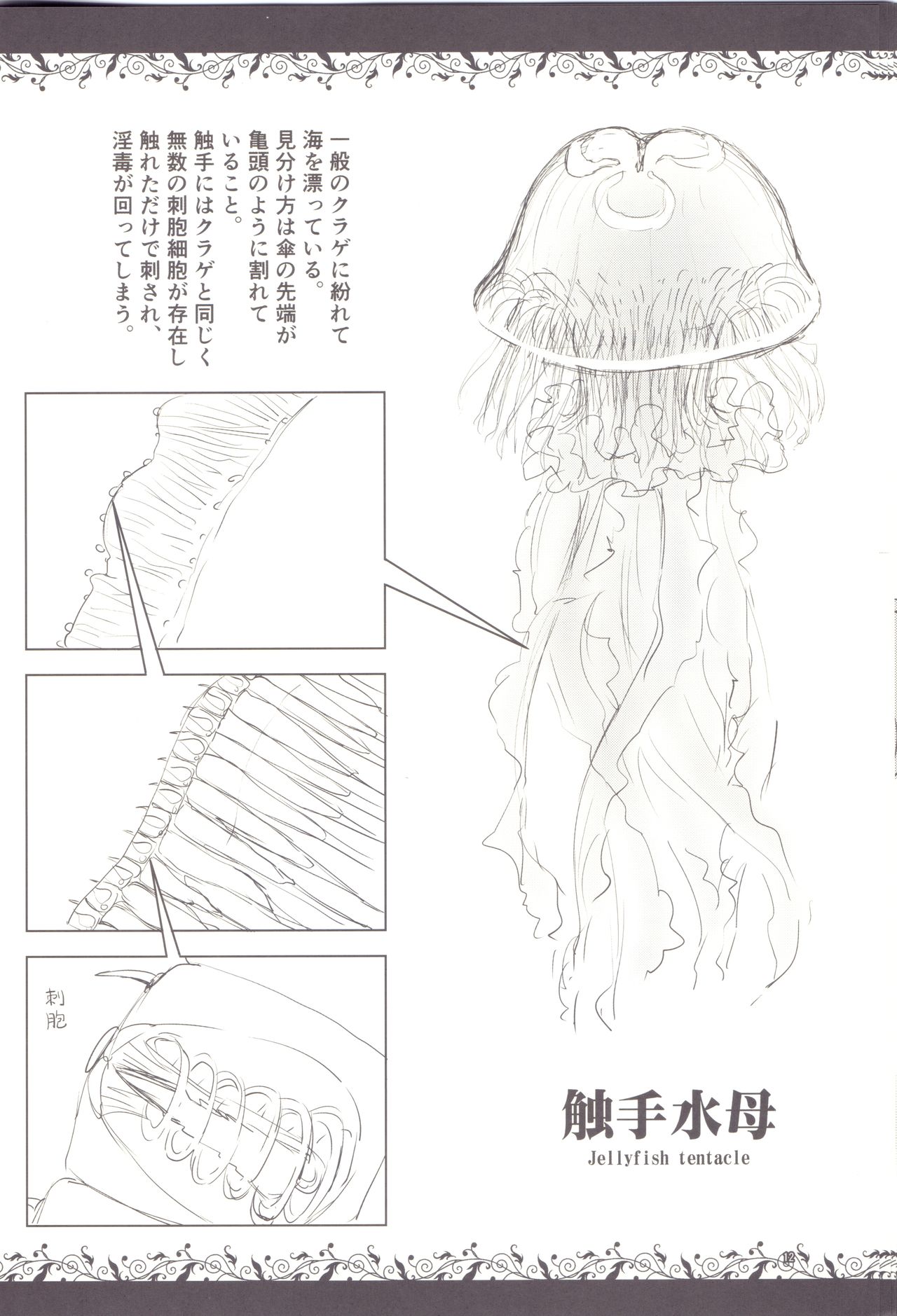 Syokusyu Zukan page 10 full