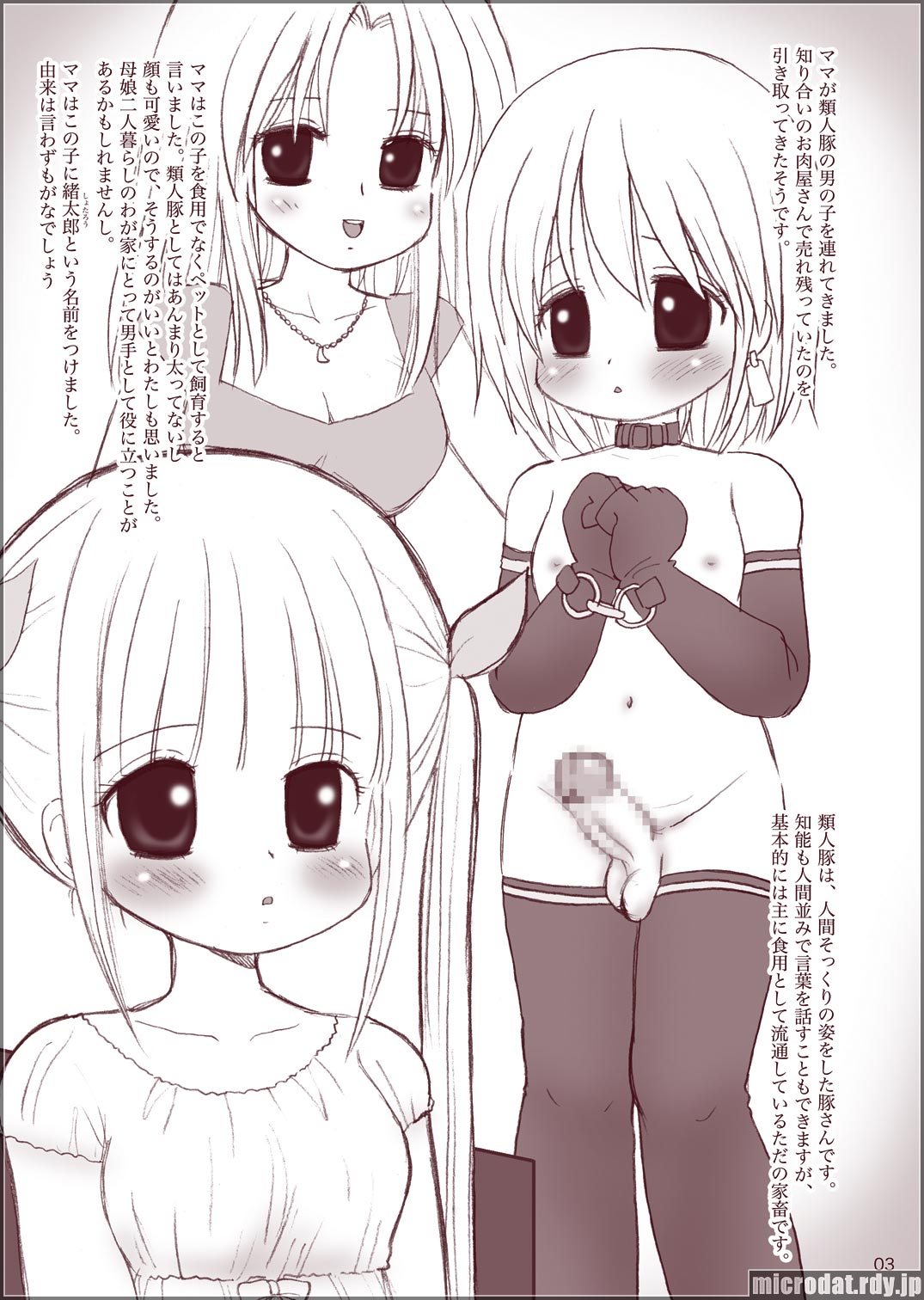 Rentai Seigyo Kachikaku Teiritsu page 3 full