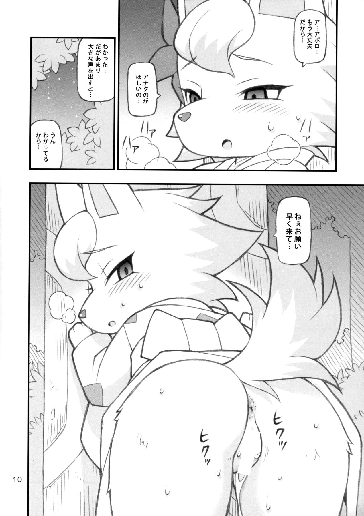 Doubutsu Mura Nikki page 9 full