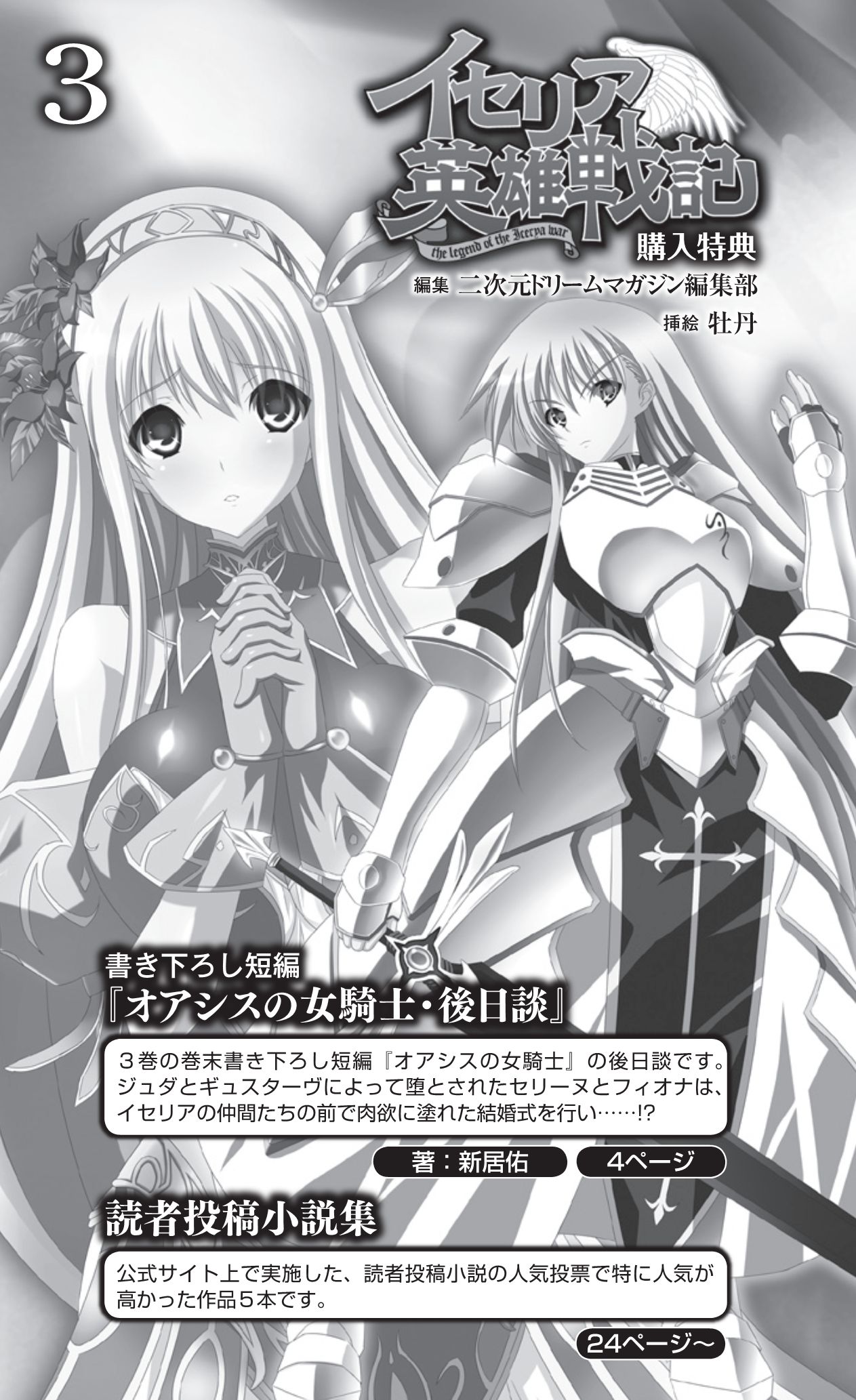 Icerya Eiyuusenki 3 page 3 full