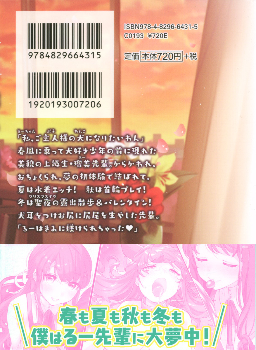 Boku to Ruu Senpai no Houkago Choukyou Nisshi - Kyou mo Watashi o Shitsukenasai! page 3 full