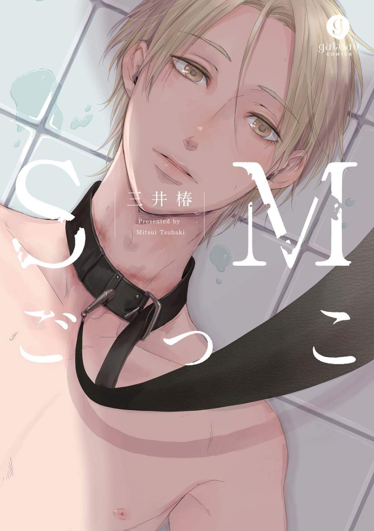 SM gokko page 1 full