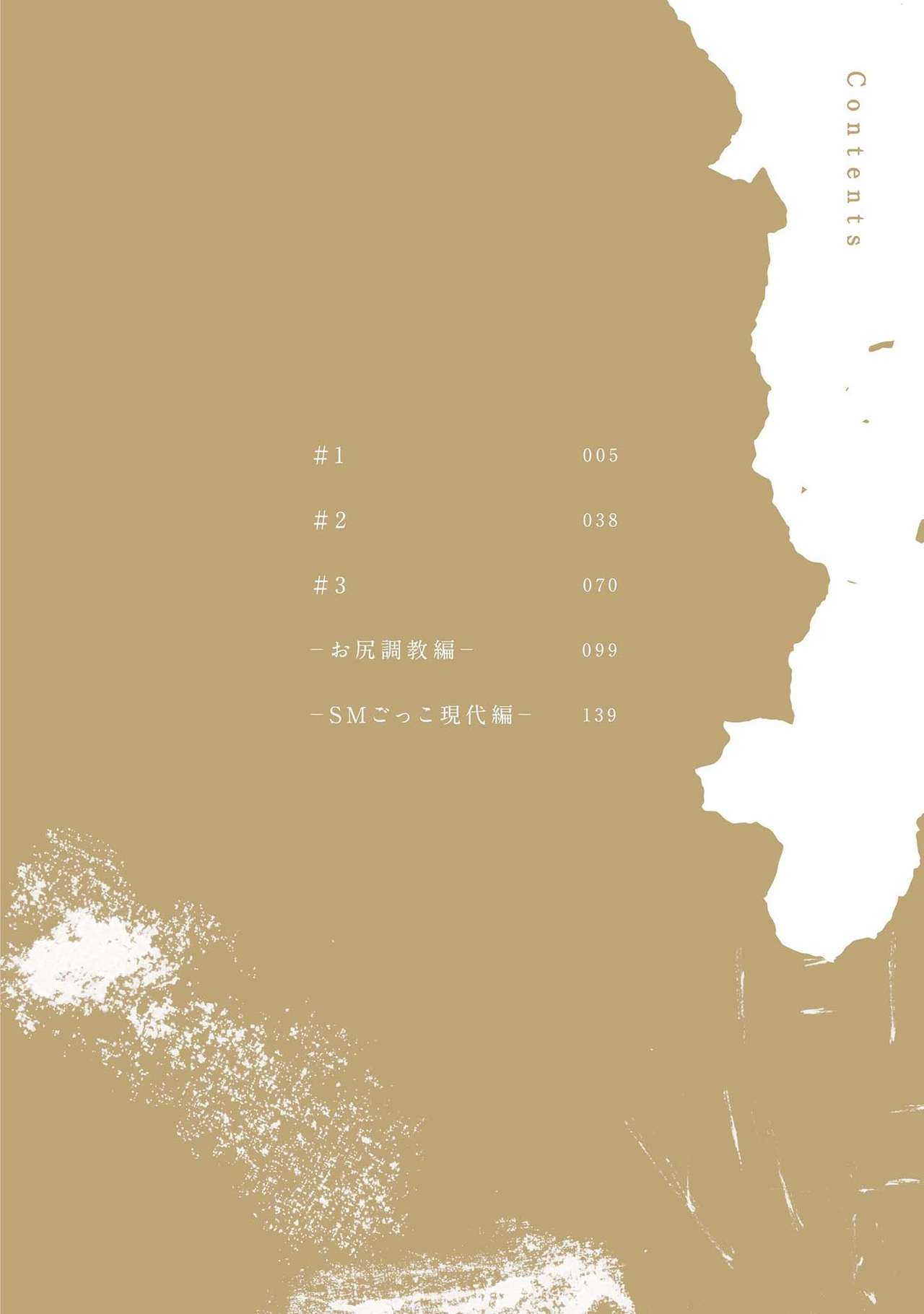 SM gokko page 4 full