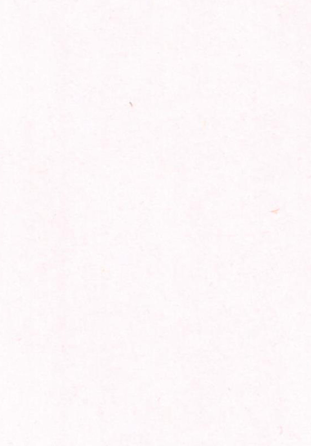 Gohoushi Cinderella Third page 3 full