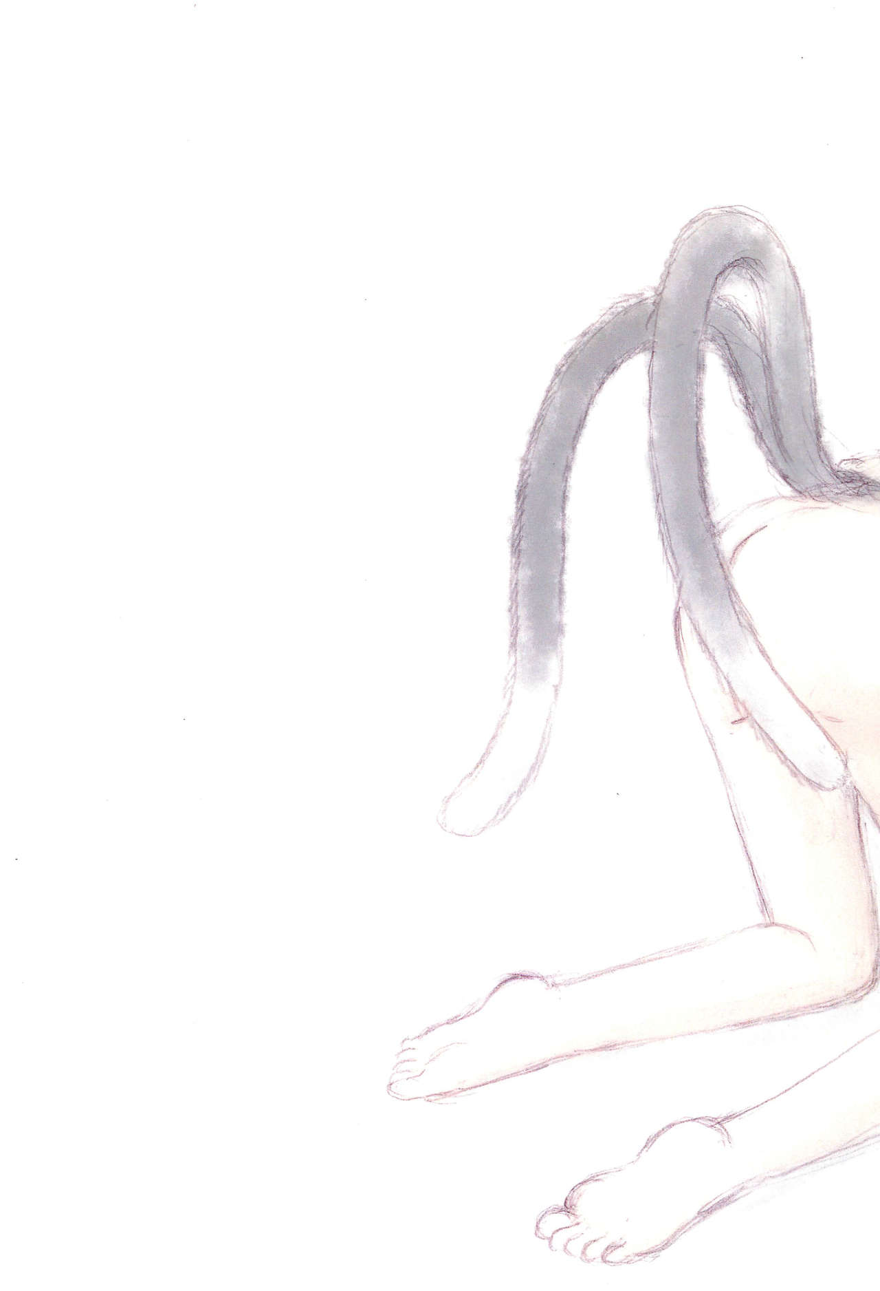 Chen-chan no Chotto Ecchi na Hon page 9 full