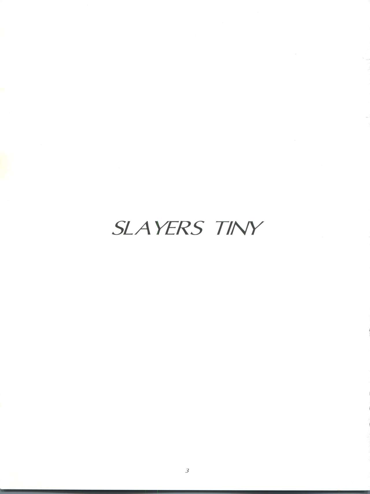 Slayers Tiny page 3 full