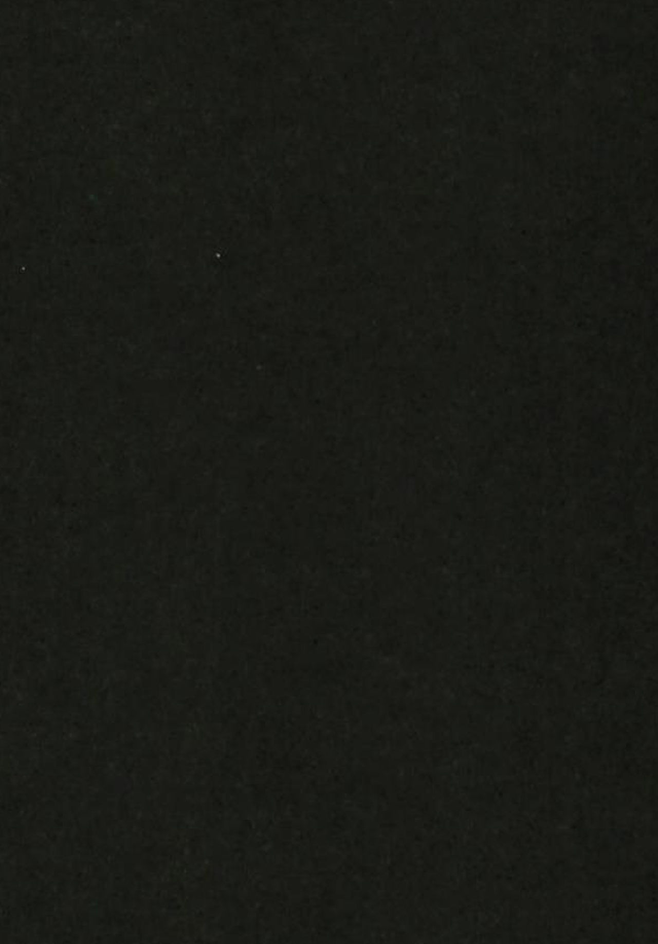 Thoroughbred Early Days page 4 full