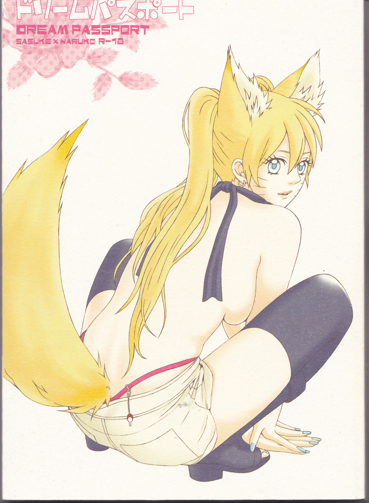 Dream Passport page 1 full