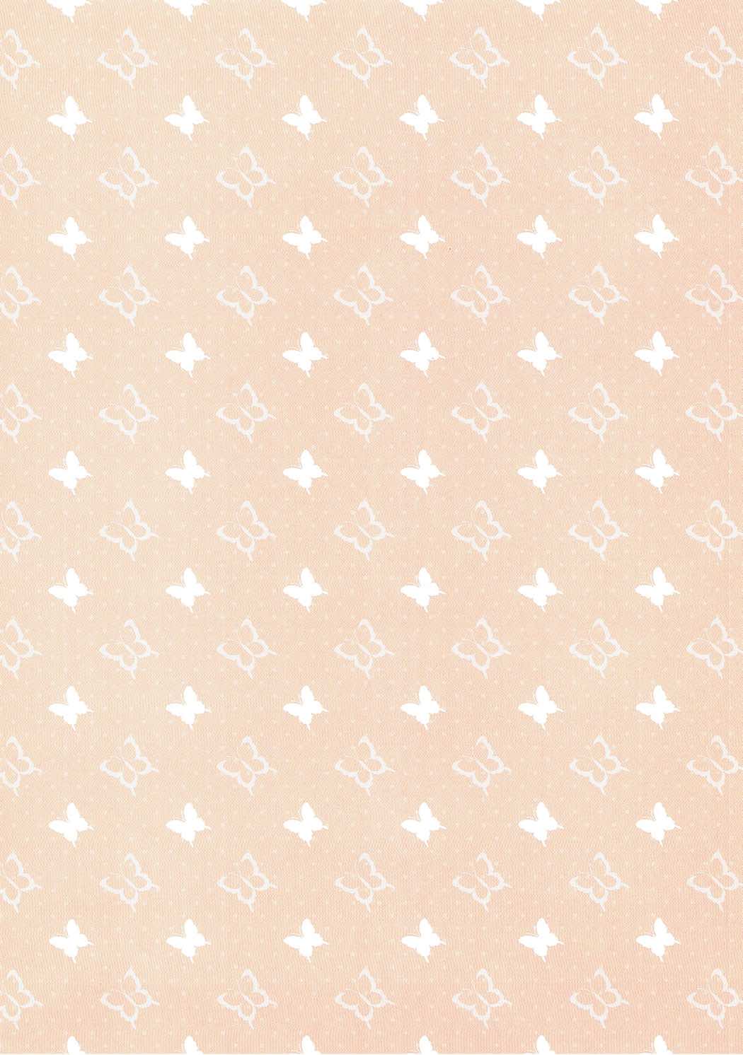 Kisekae Flan-chan page 2 full