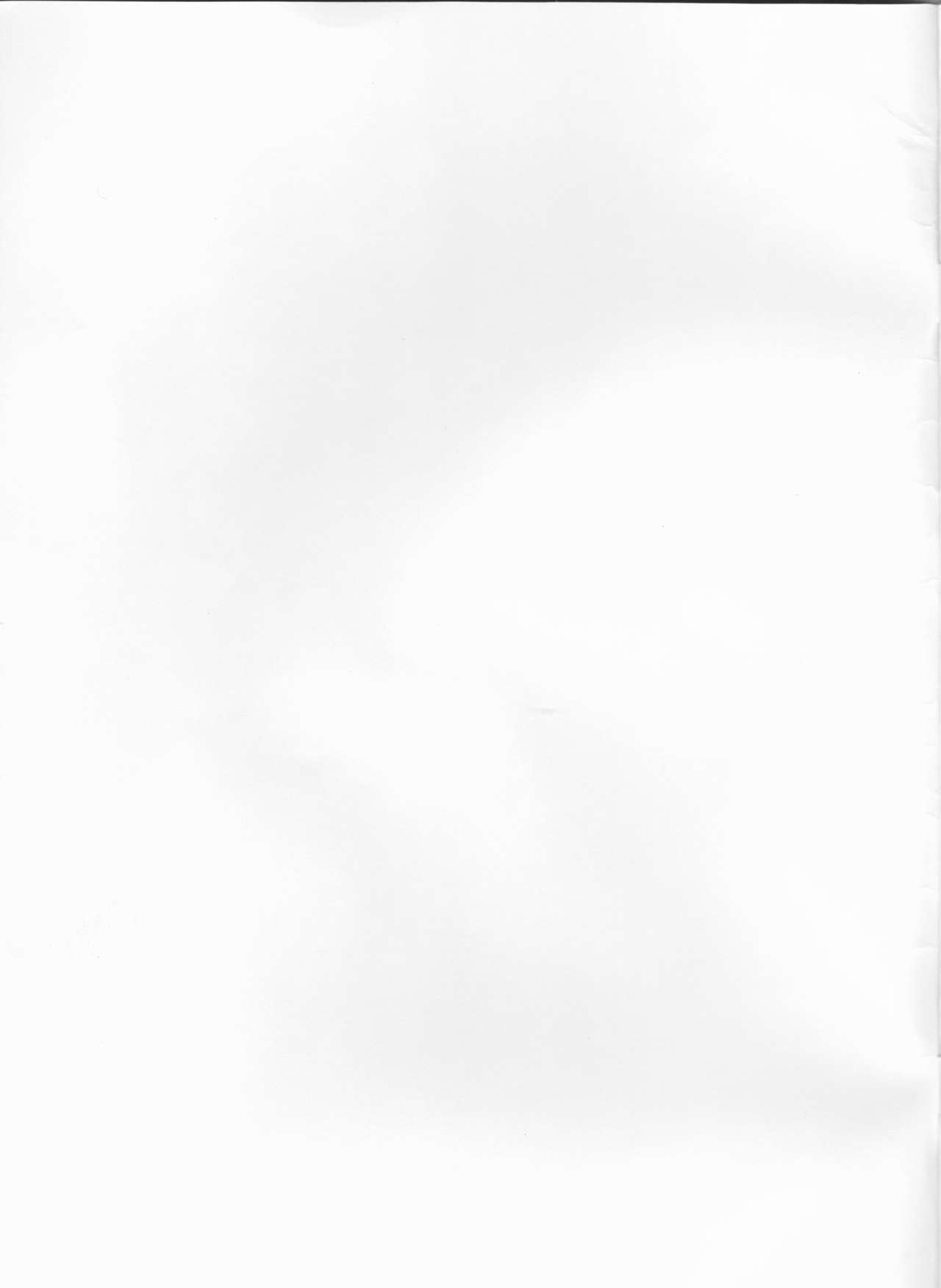 Kawaii wa Seigi! page 2 full