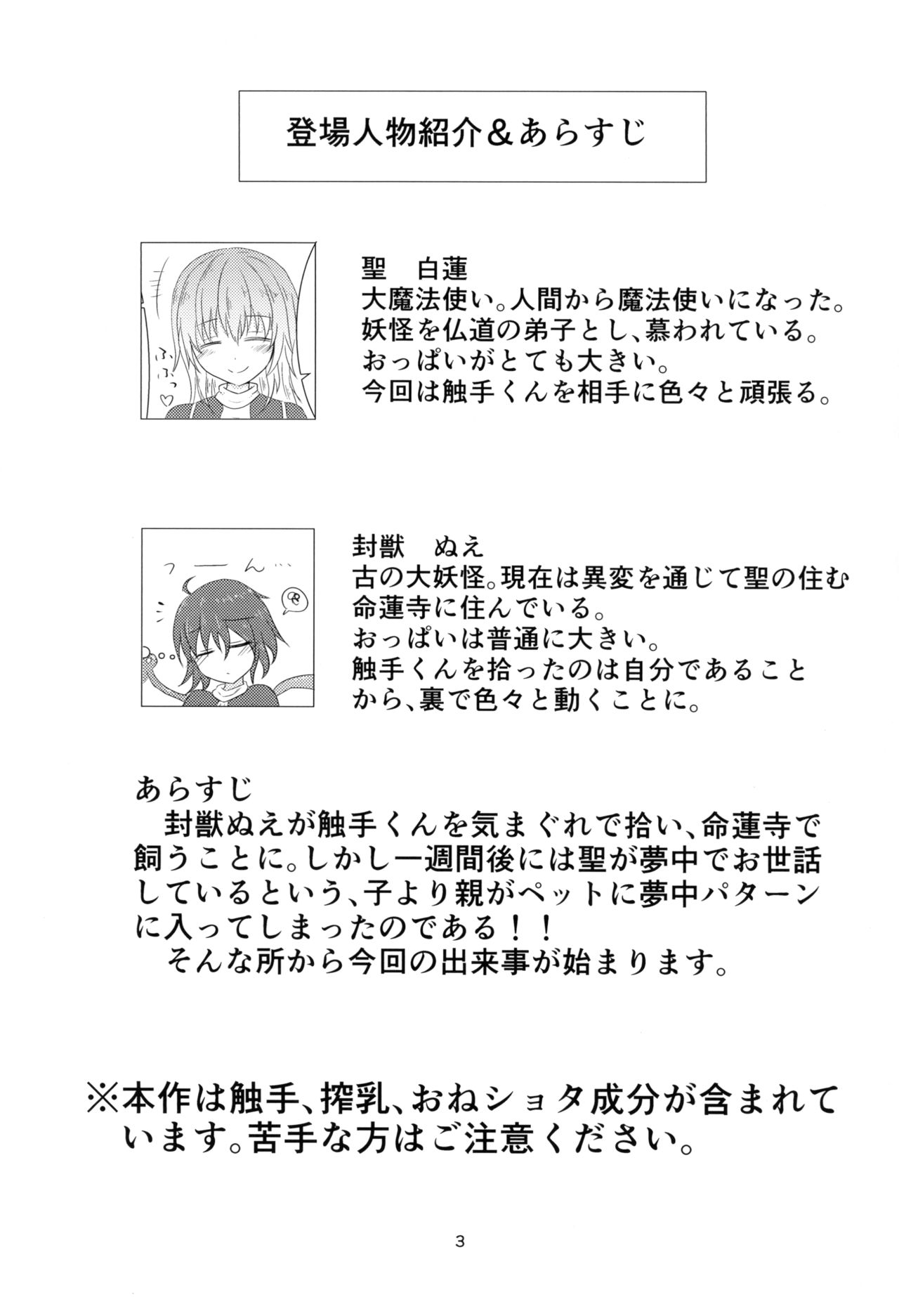 Hijiri Shibori page 3 full