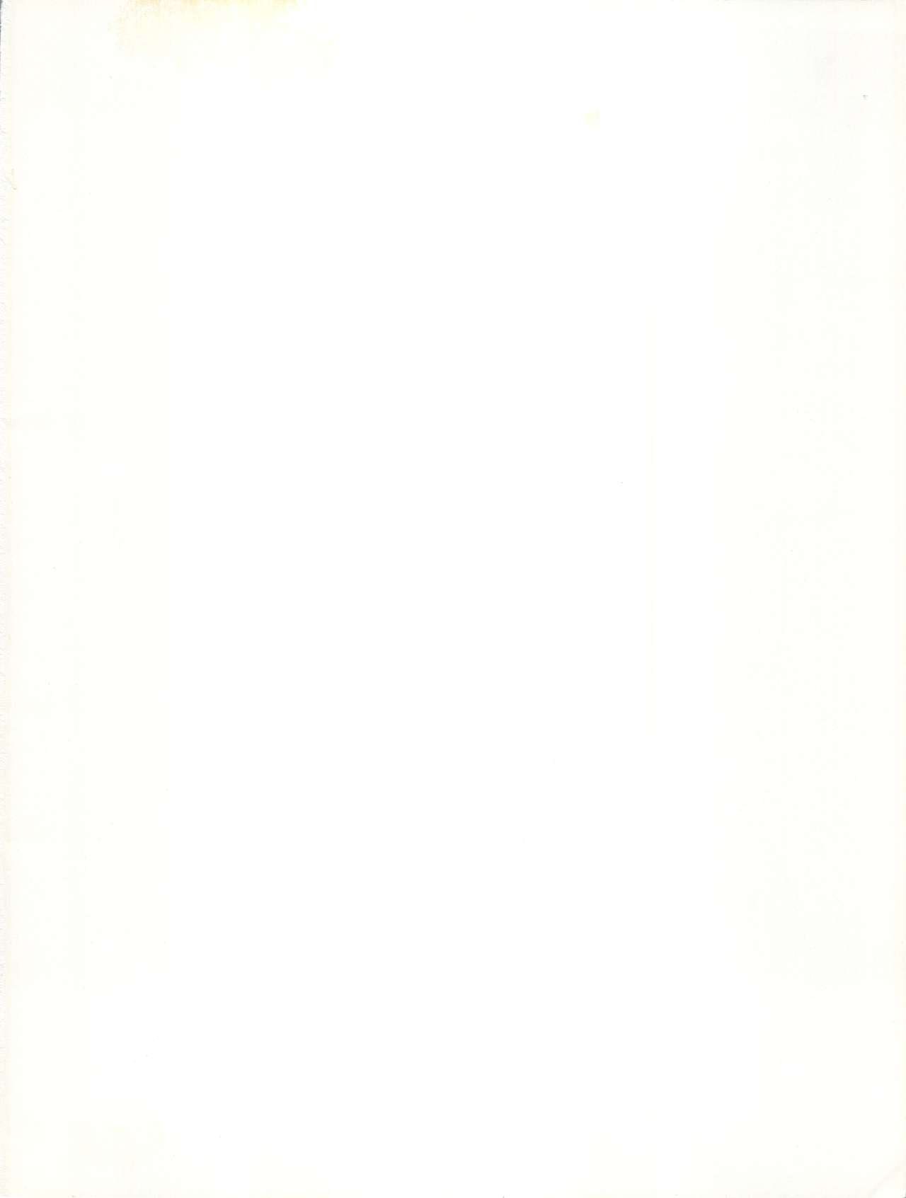 V-TIC 17 page 2 full