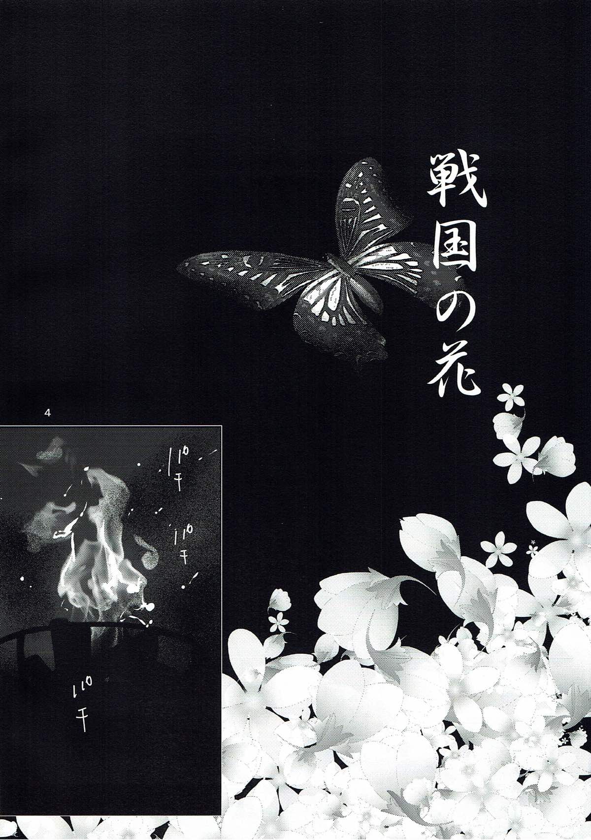 Sengoku no Hana page 3 full