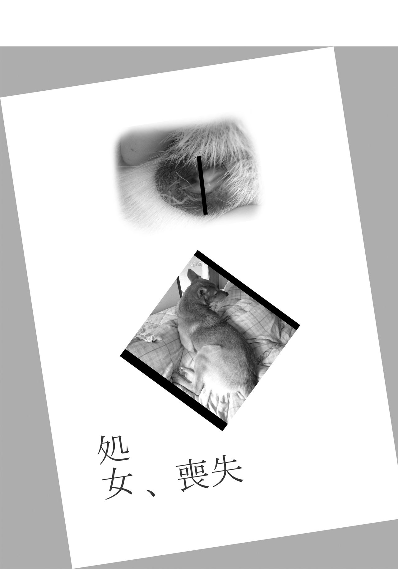 Inu no Fuguri to Momo no Hana page 2 full