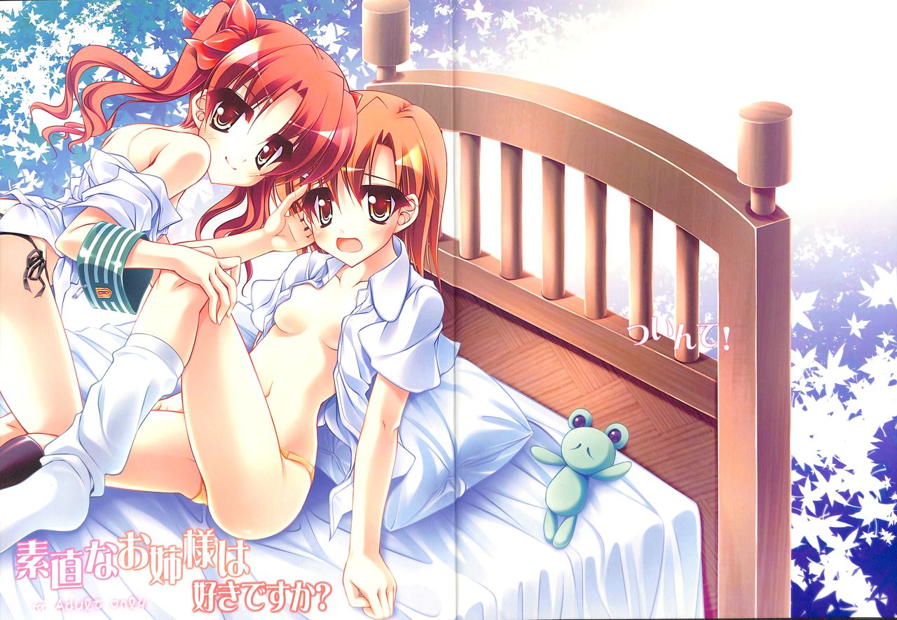 Sunao na Onee-sama wa Suki desu ka? page 1 full