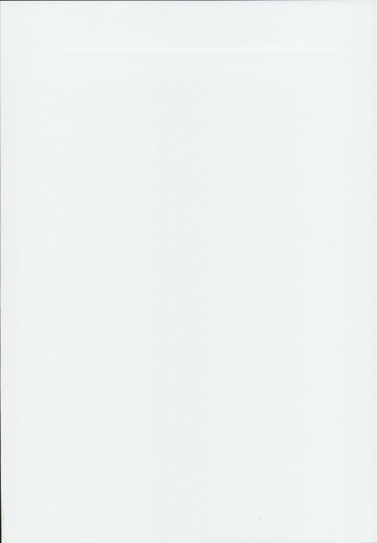 Chaldea Supporter page 2 full