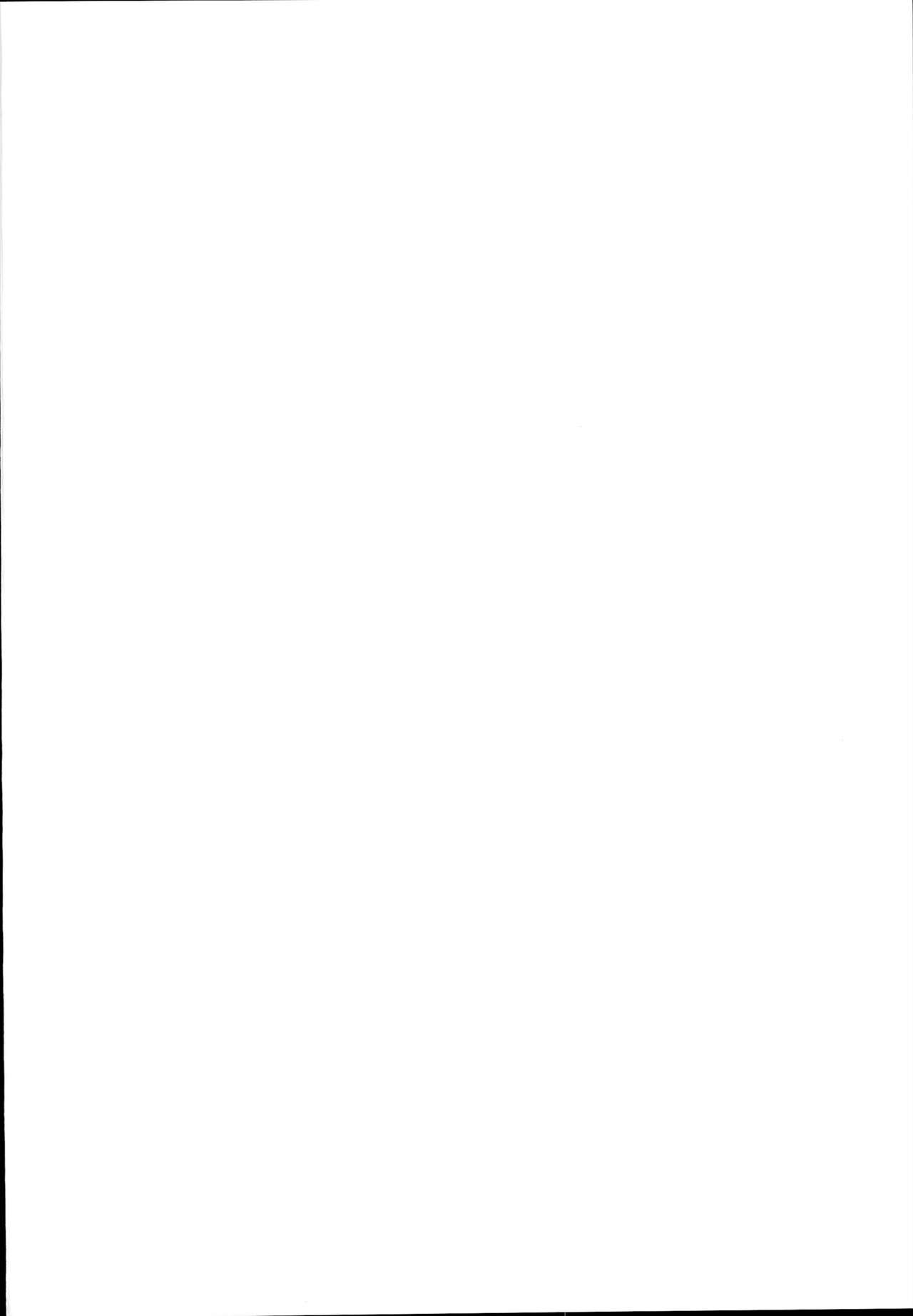 Chaldea Supporter page 4 full