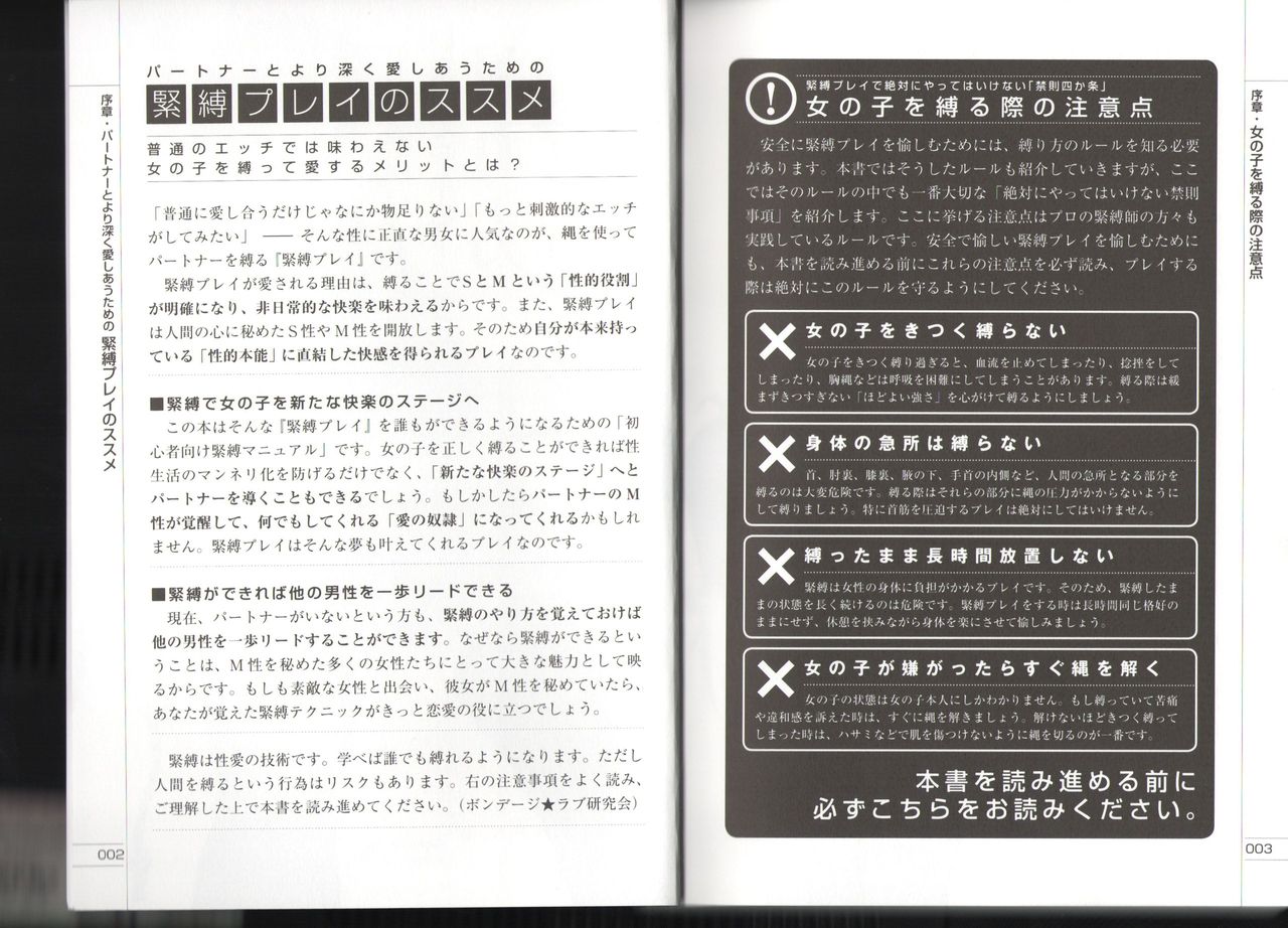 Now you can do it! Illustrated Tied How to Manual page 2 full