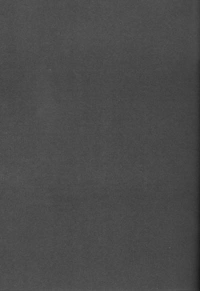 ZILCH #3 Hitotsu Kanzen Naru Kiseki no Ooi no Shita page 9 full