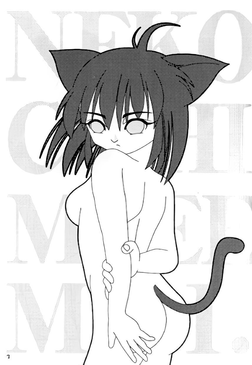 Neko Chimimi page 2 full