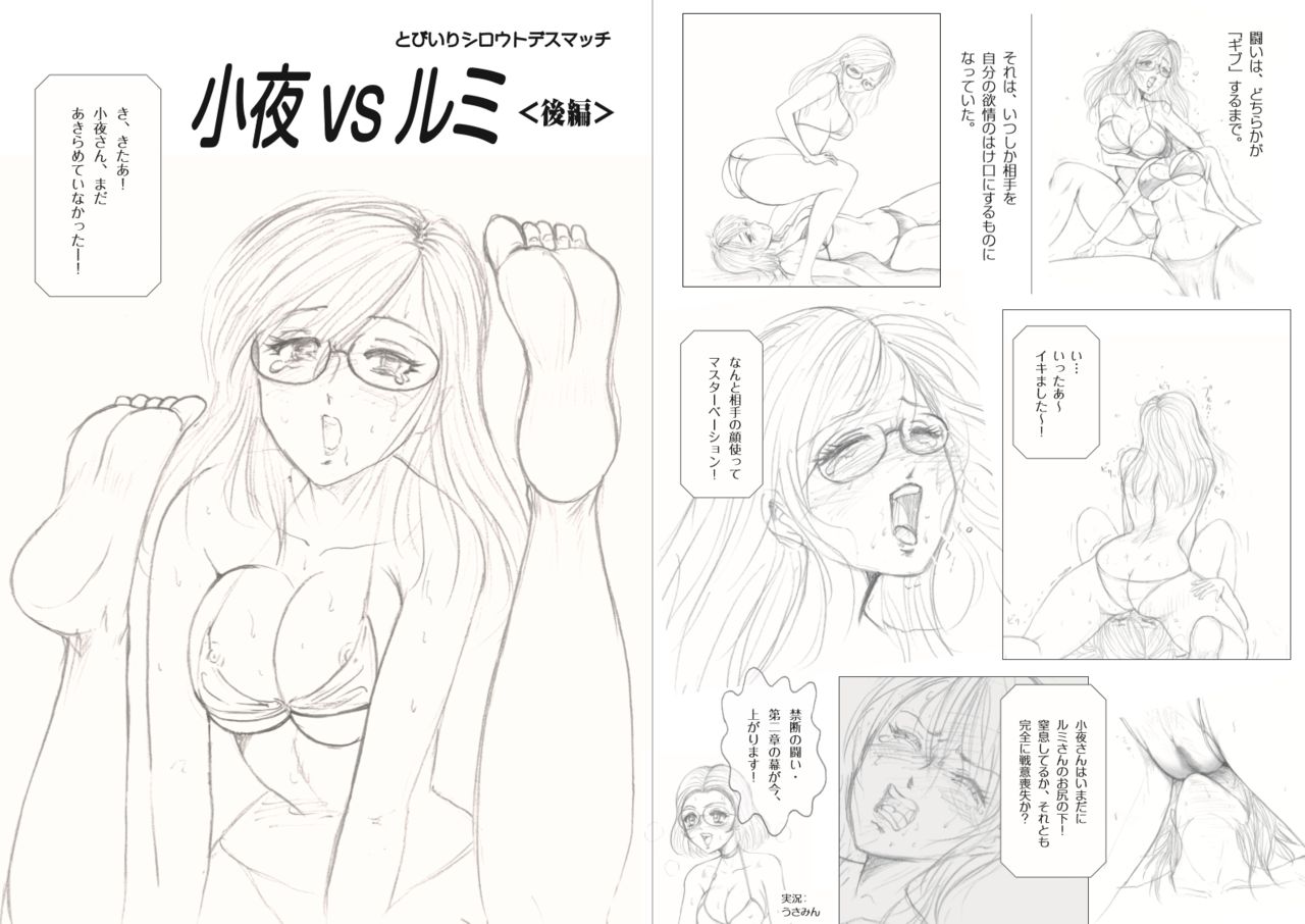 Moewrest 15 Tobiiri Death Match Sayo vs Rumi <Kouhen> page 3 full