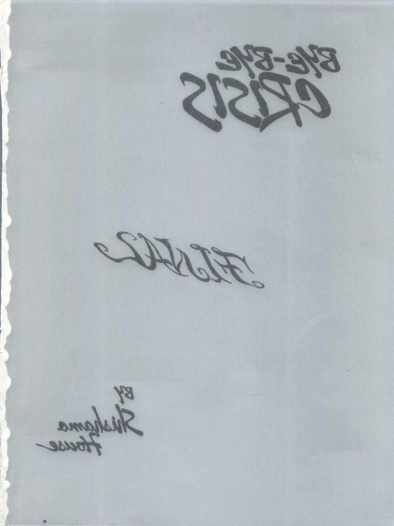 Bye Bye Crisis page 5 full