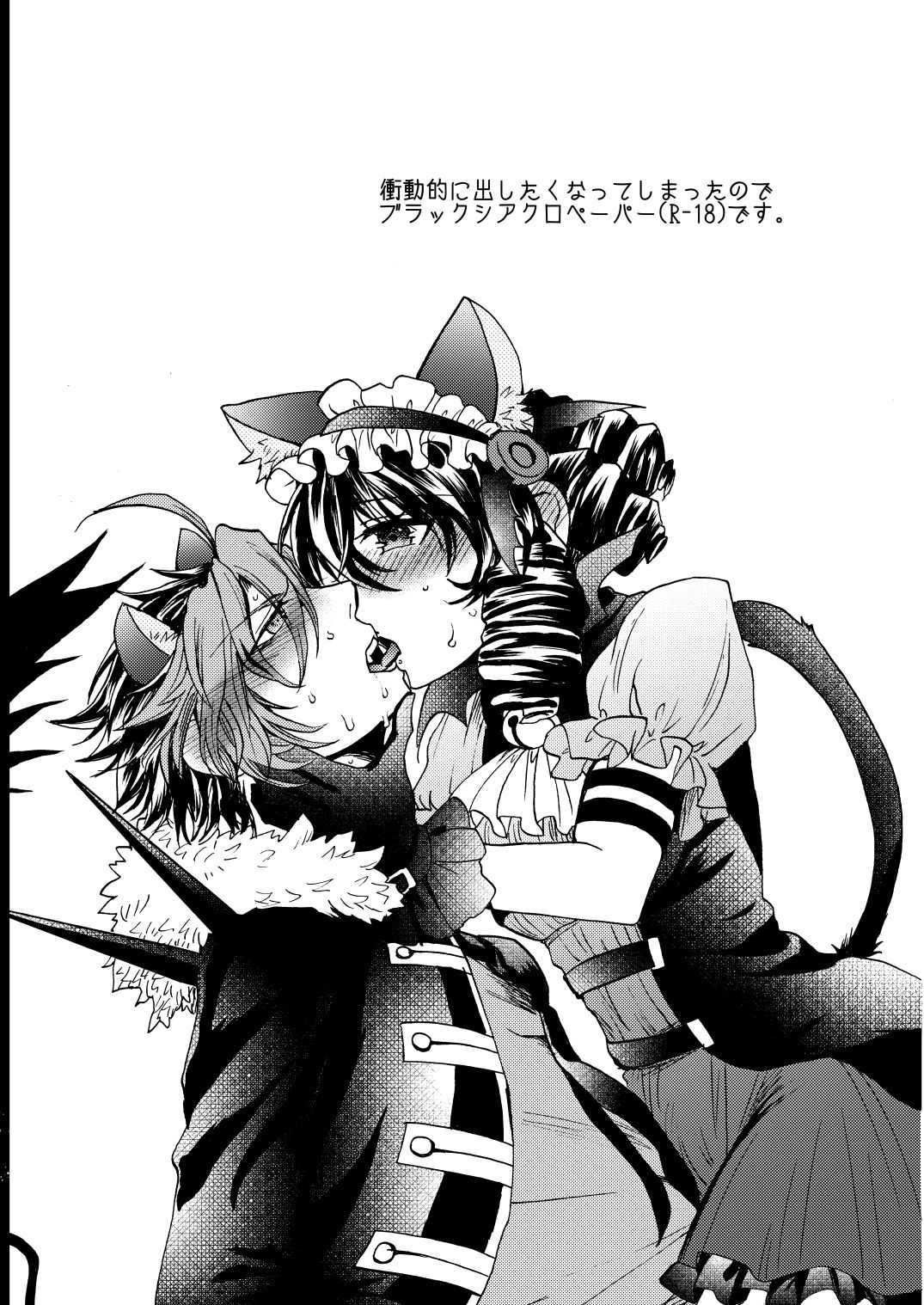 1/28イベント無配ペーパーブラックシアクロ page 2 full