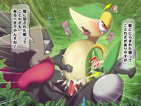 【弱肉強姦】メガルカリオ、ツタージャ、オンバーン page 3 full