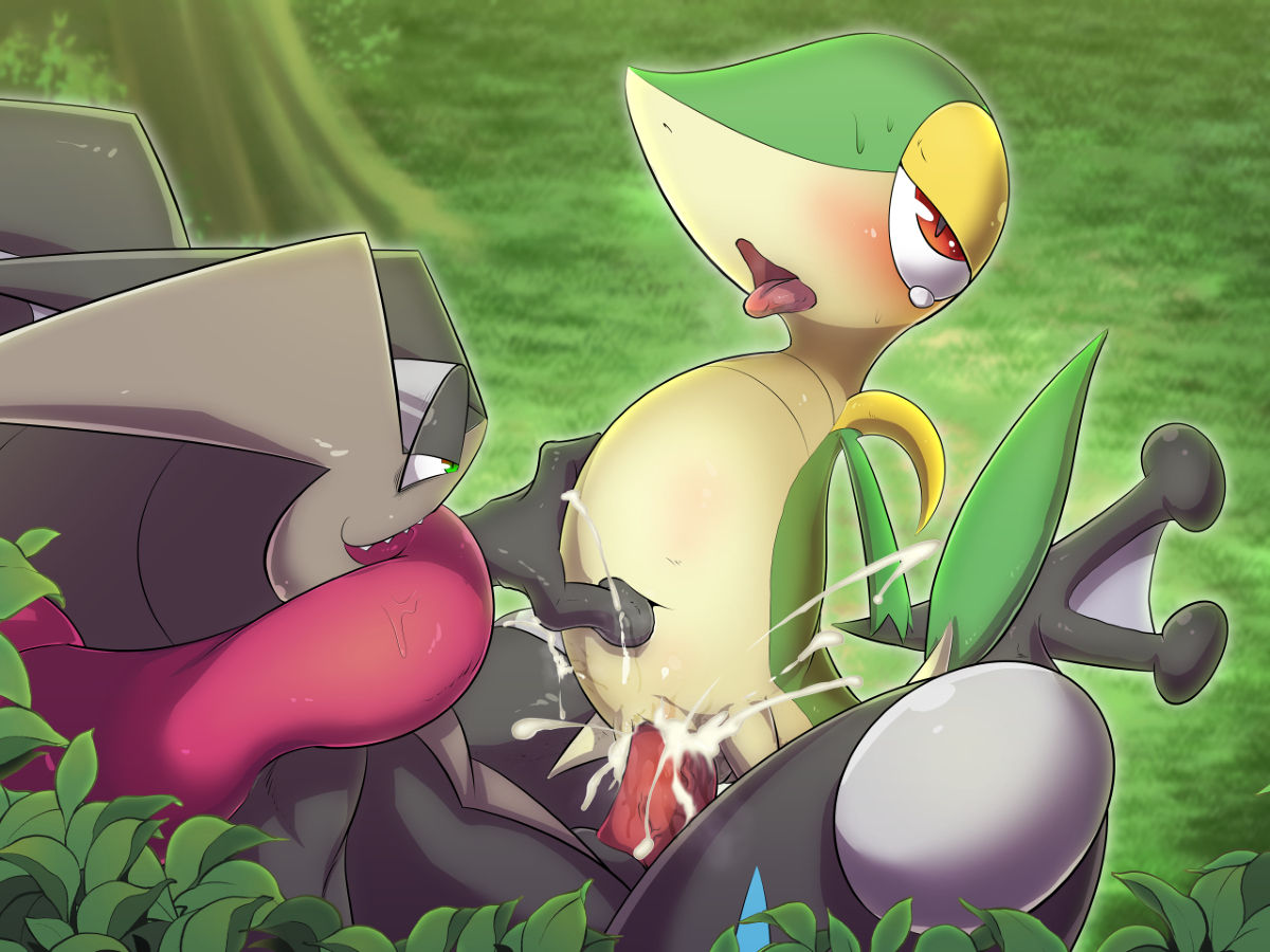 【弱肉強姦】メガルカリオ、ツタージャ、オンバーン page 4 full